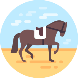 Equestrian icon