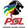 All South African Premier Division Teams icon