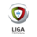 All Superliga Teams icon