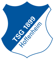 1899 Hoffenheim icon