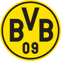 Borussia Dortmund icon