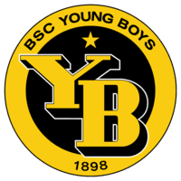 BSC Young Boys icon