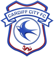 Cardiff City icon