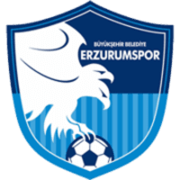 Erzurumspor icon