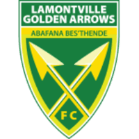 Golden Arrows icon