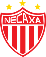 Necaxa icon