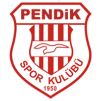 Pendikspor icon