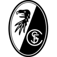 SC Freiburg Frauen icon
