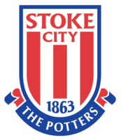 Stoke City icon
