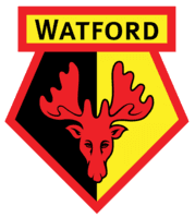 Watford FC icon