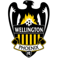 Wellington Phoenix icon