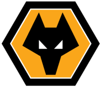 Wolverhampton Wanderers icon