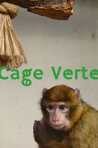 Cage Verte icon