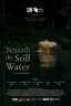 Beneath the Still Water