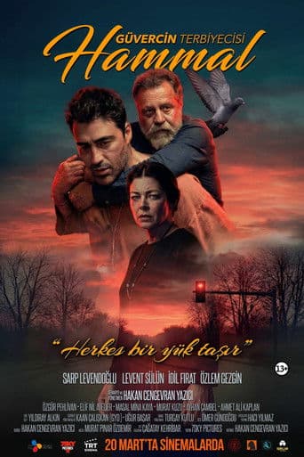 Gvercin Terbiyecisi Hammal icon