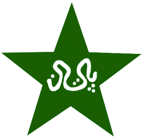 Pakistan icon