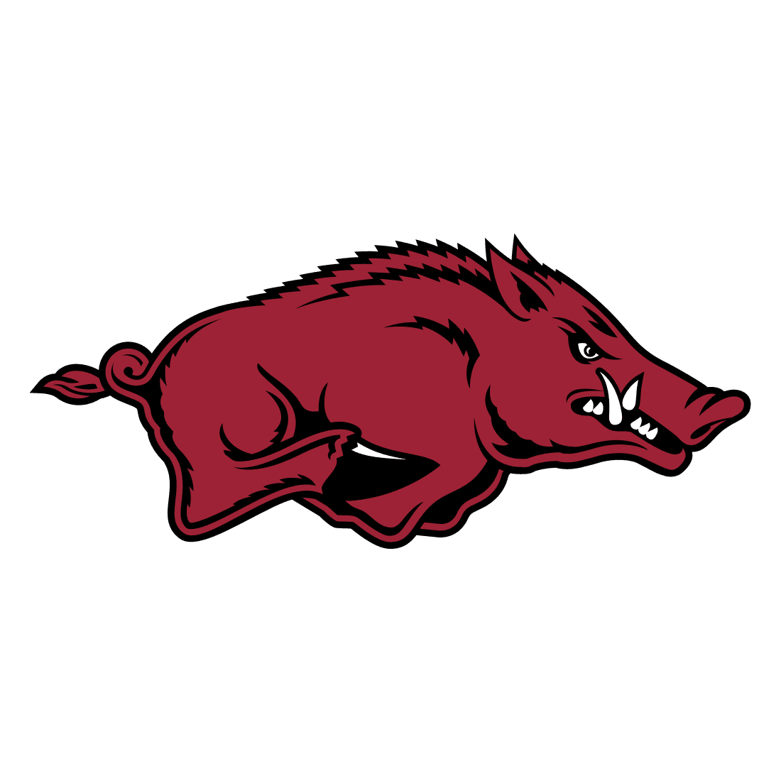 Arkansas Razorbacks icon