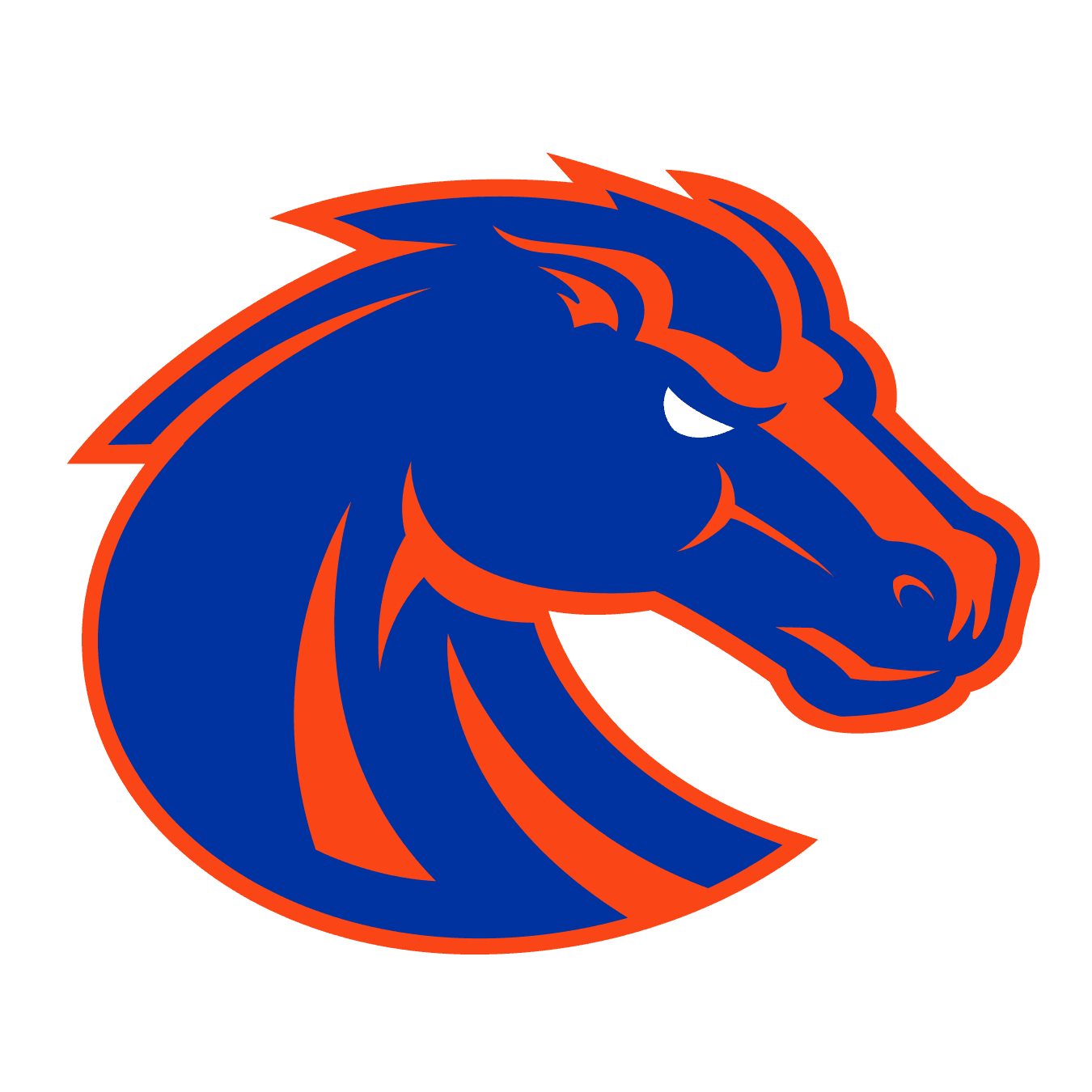 Boise State Broncos icon