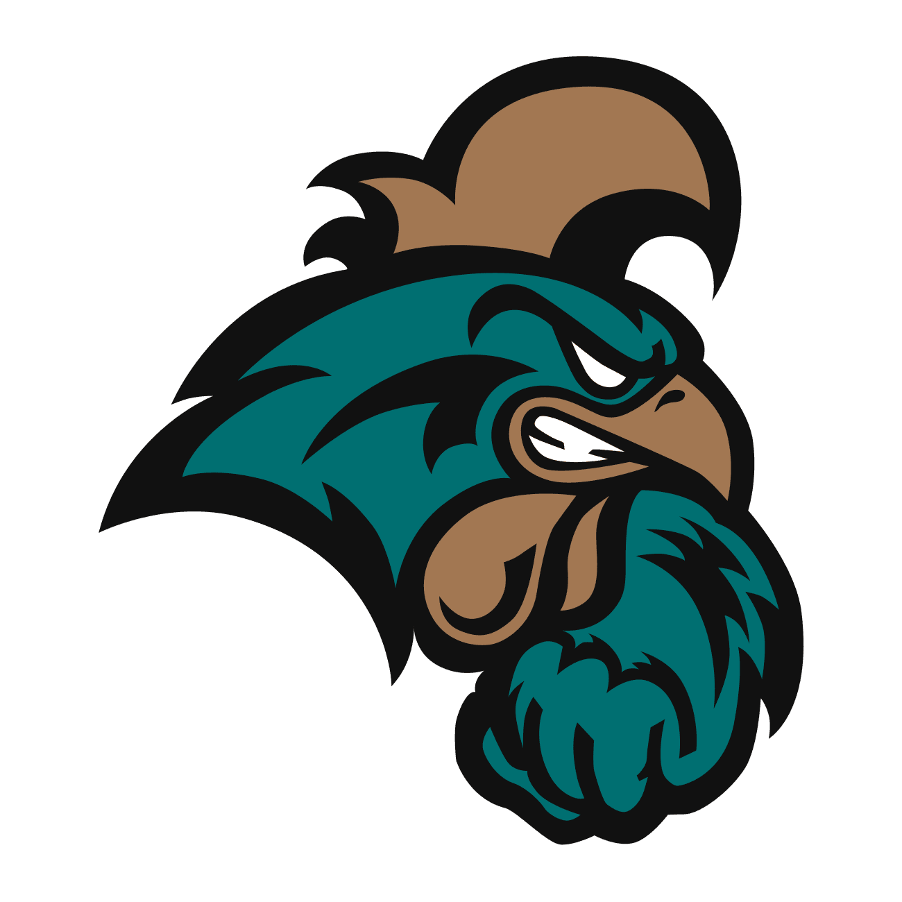 Coastal Carolina Chanticleers icon
