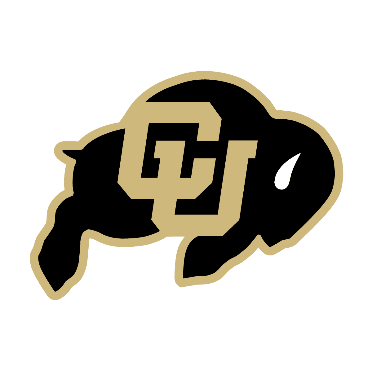 Colorado Buffaloes icon