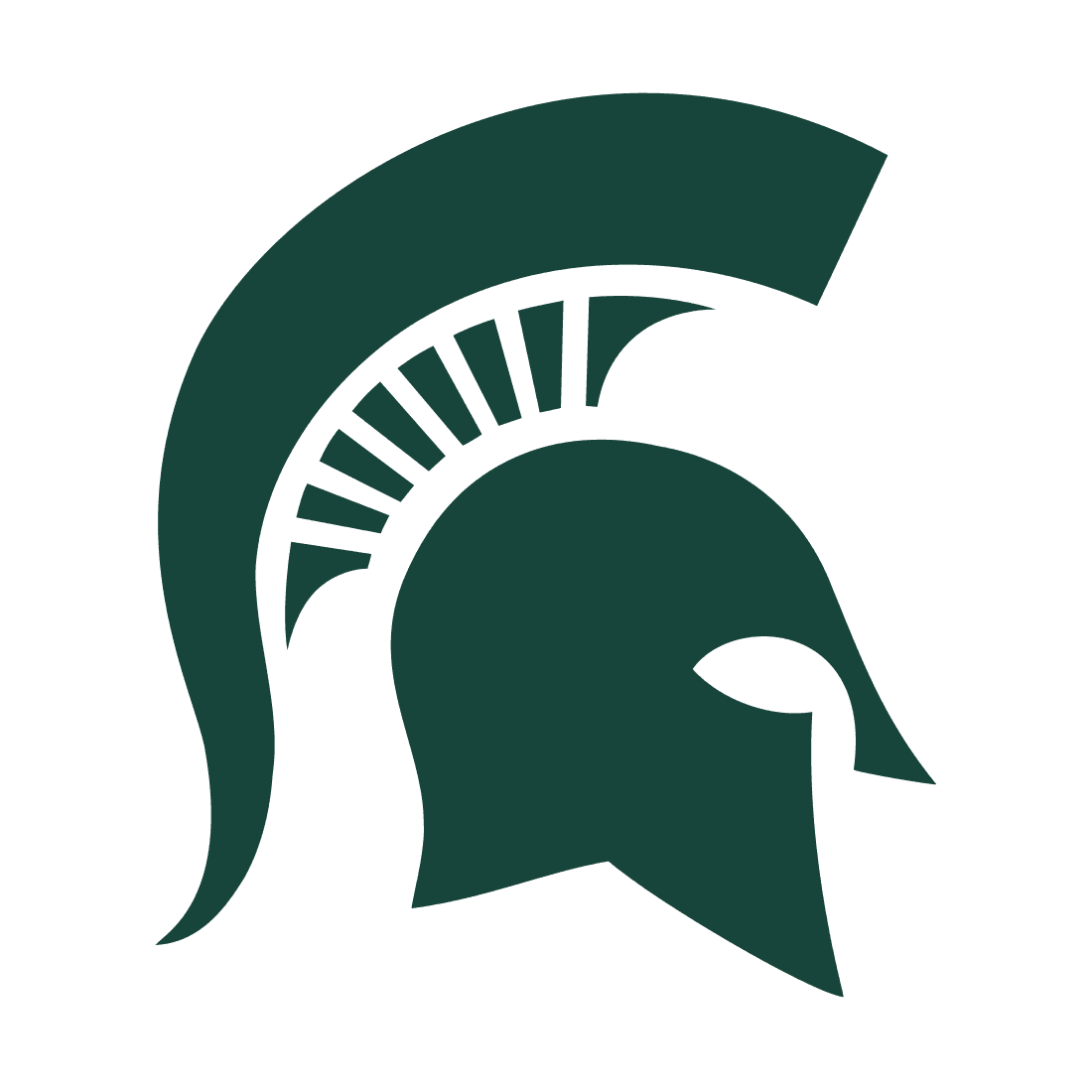 Michigan State Spartans icon