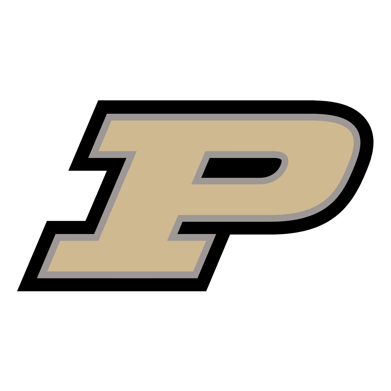 Purdue Boilermakers icon