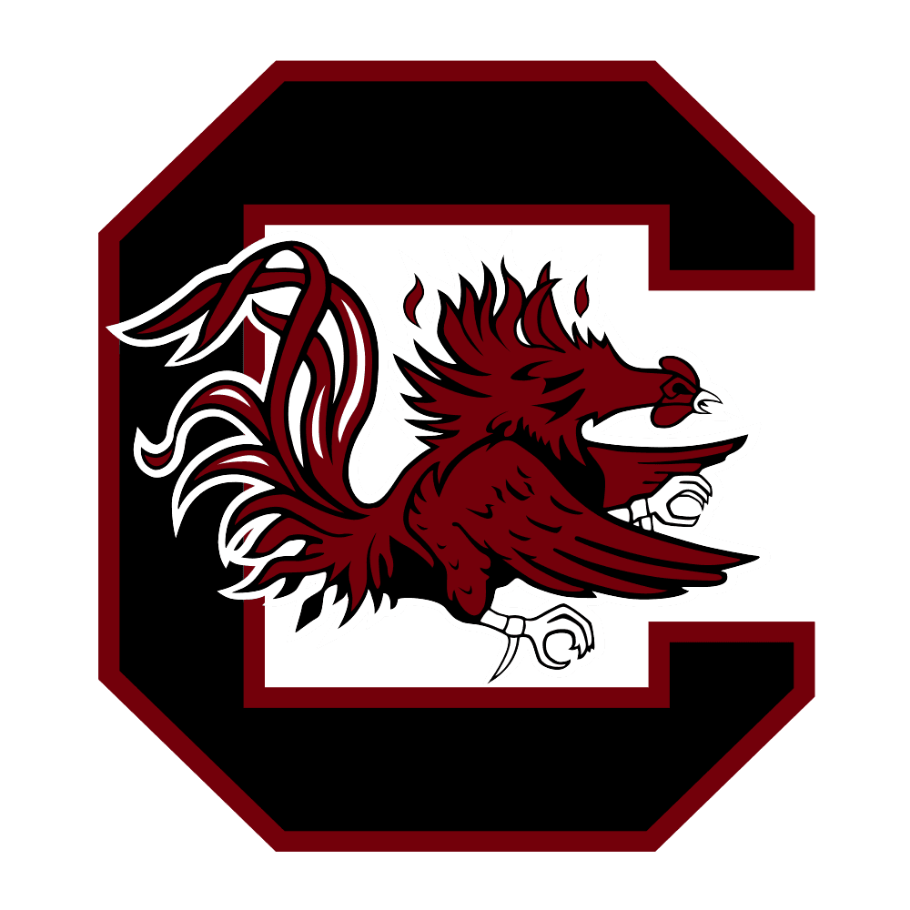 South Carolina Gamecocks icon