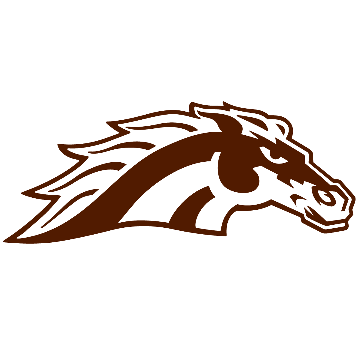 Western Michigan Broncos icon
