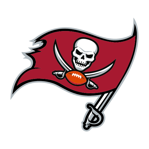 Tampa Bay Buccaneers icon
