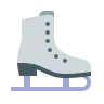 Speed Skating icon