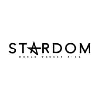 World Wonder Ring STARDOM icon