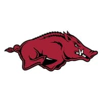 Arkansas Razorbacks icon