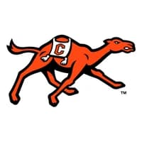 Campbell Fighting Camels icon