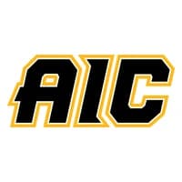 American International Yellow Jackets icon