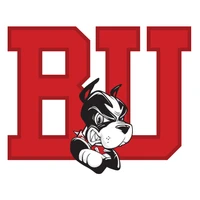 Boston University Terriers Women's Hockey icon