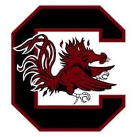 South Carolina Gamecocks icon